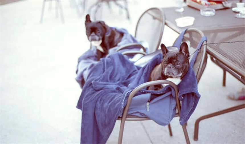 Electrohydraulic Suspension: The Future of Smooth Driving Explained